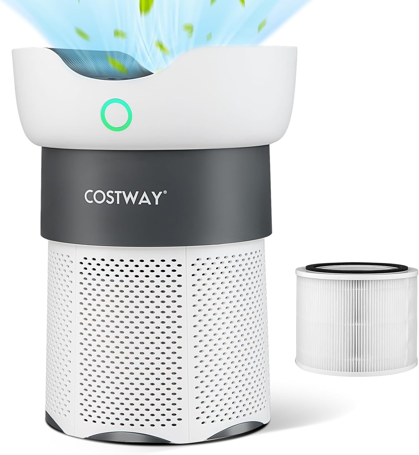 Purificateur d'Air Domestique, Filtre Véritable pour Pièces, Fumée de Feu de Forêt, Allergènes, Allergies aux Animaux, Mode Automatique, Silencieux