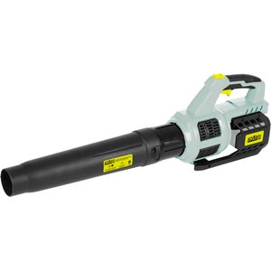 Soffiatore Foglie FUXTEC 20V - Set Con 2 Batterie 2Ah, Velocit&agrave; 38m/s | Leggero E Silenzioso Per Giardino