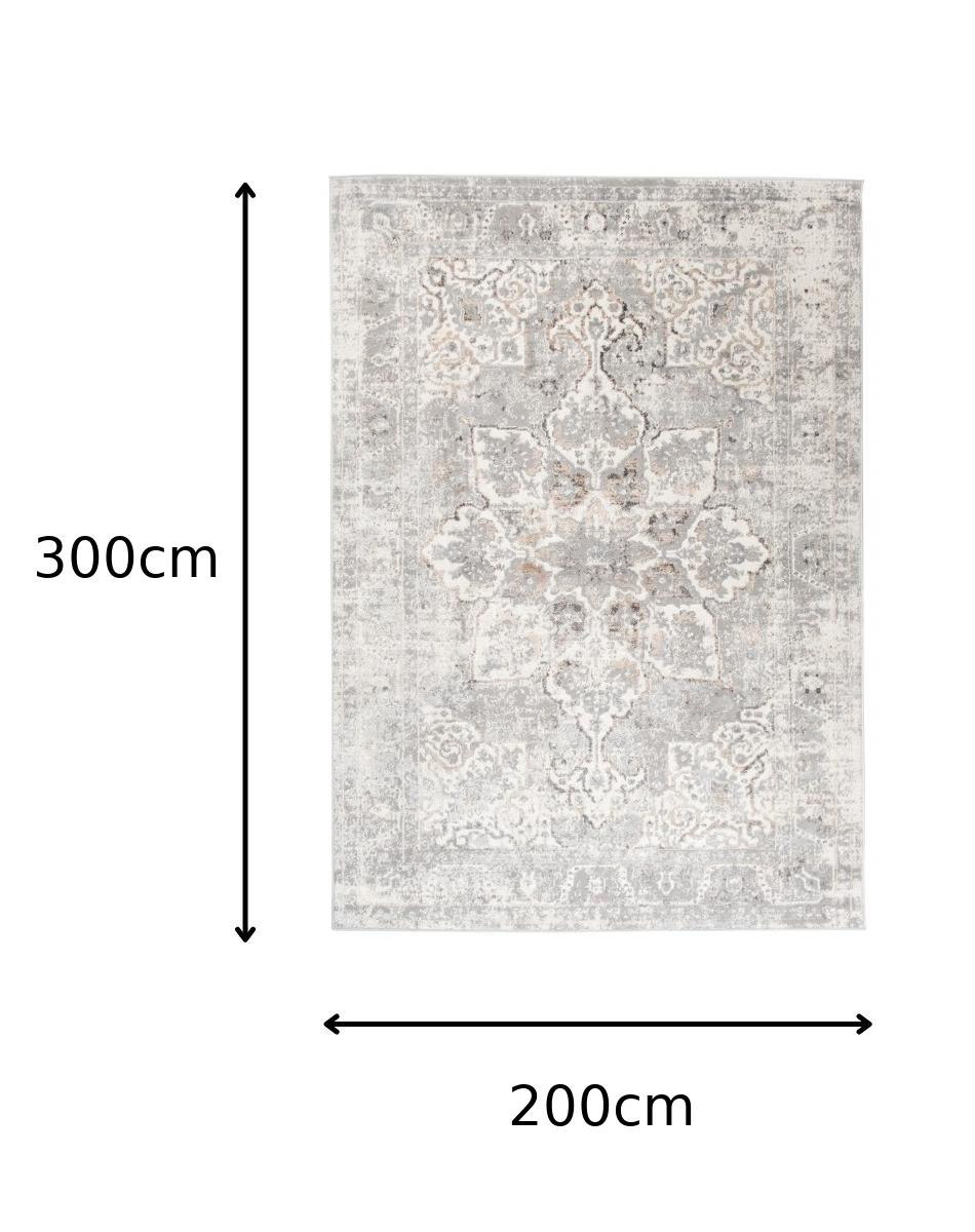 TAPISO Valley Tapis Salon Chambre Vintage Gris Clair Beige Doux 200x300 - 5