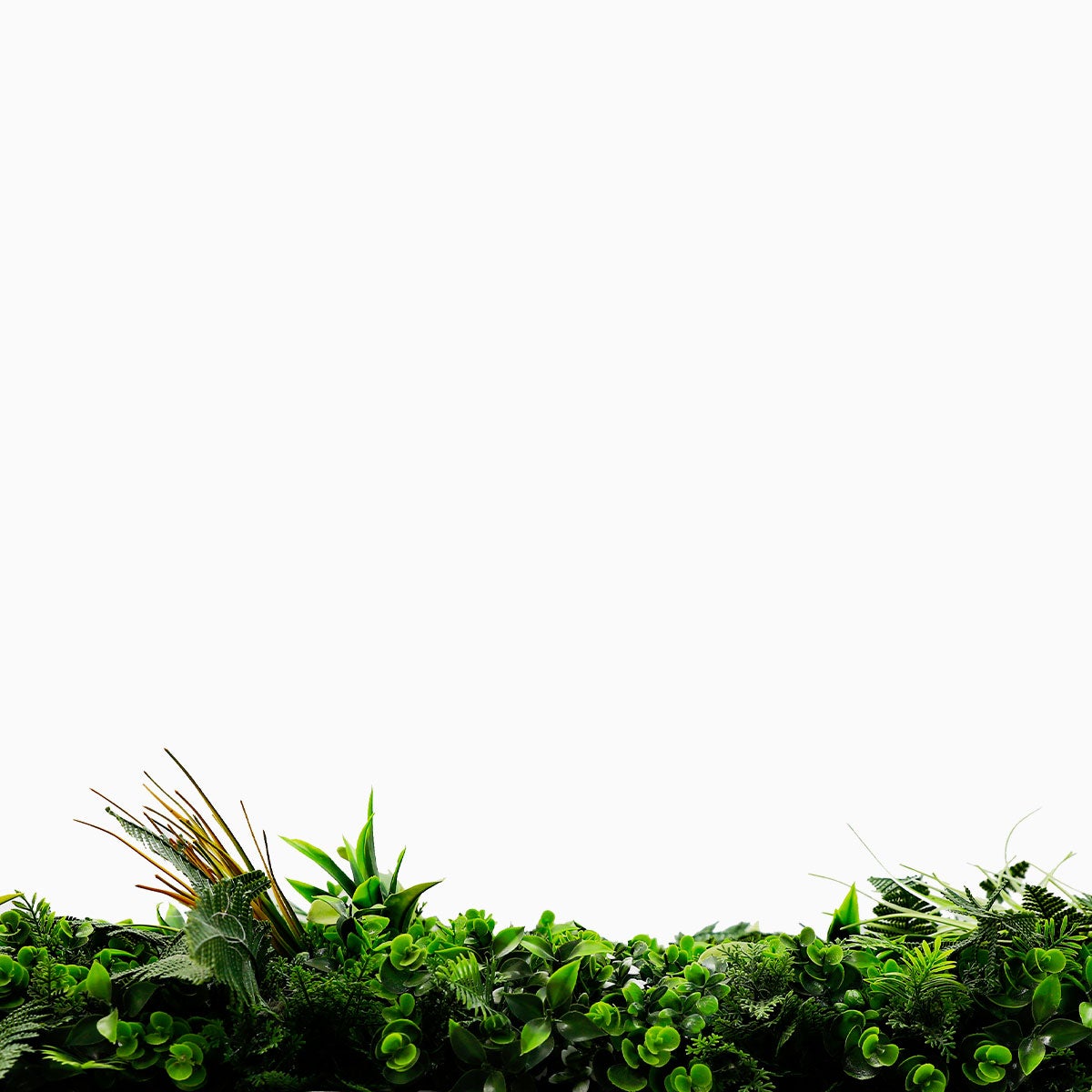 Mur Vegetal Savane decoration murale interieure plaque de 1m x 1m - 7