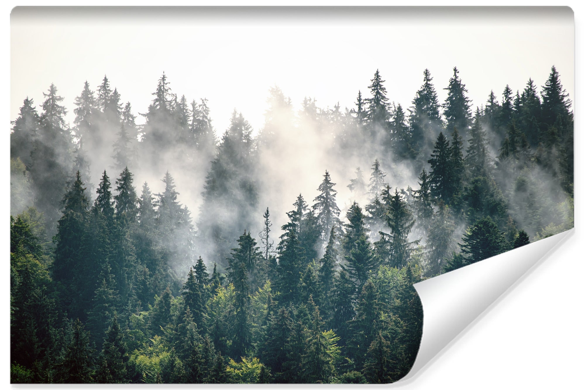 Papel pintado no tejido fotografia 3d bosque en la niebla para dormitorio 405cm x 270cm