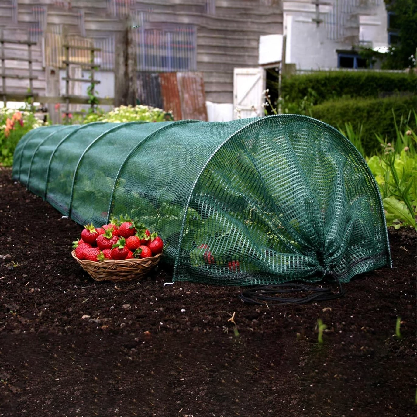 Lot de 2 filets de protection 2 en 1 pour serre contre la chaleur du soleil, tunnel de jardin, canal de plantation, filet anti-insectes, 300 x 45 cm - 3