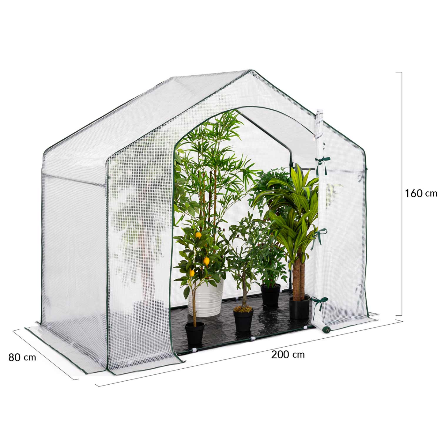 Serre d'hivernage maison 200 x 80 x 160 cm balcon et terrasse - 4