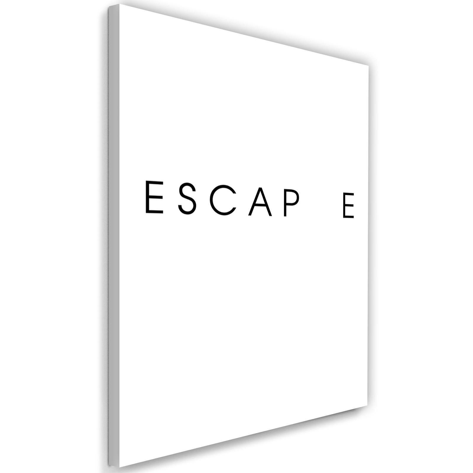 Obraz na płótnie, Escape 80x120