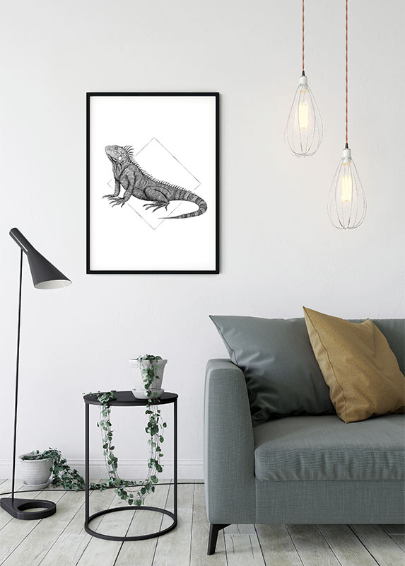 Poster d'art de Komar - Iguana White - Taille: 30 x 40 cm - 7