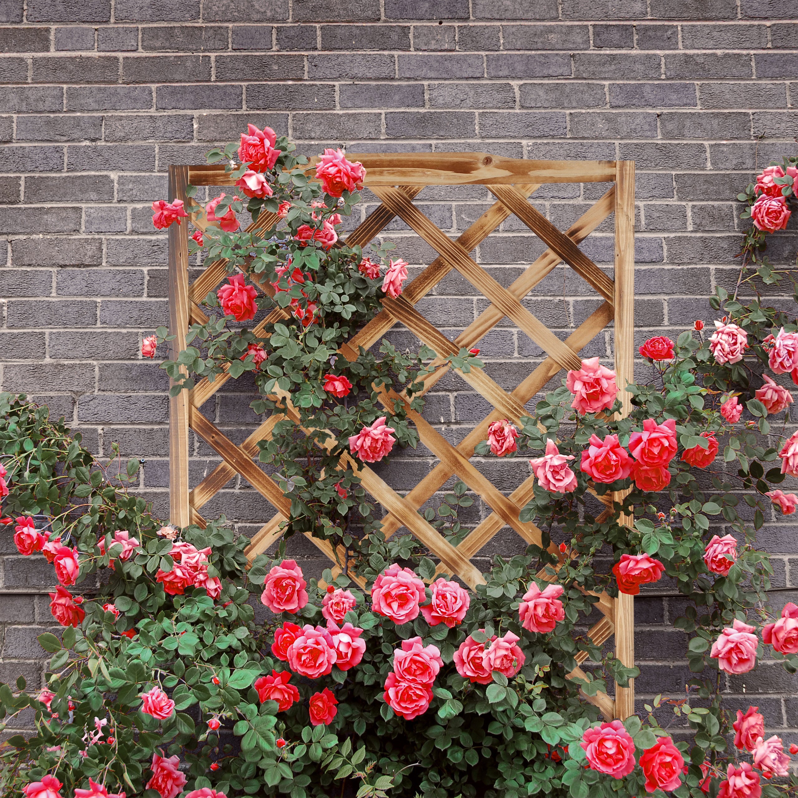 Jardinière avec treillis espalier Tuteur plantes grimpantes bac à fleurs en bois lierre rose 25L, 147 cm, Relaxdays - 3