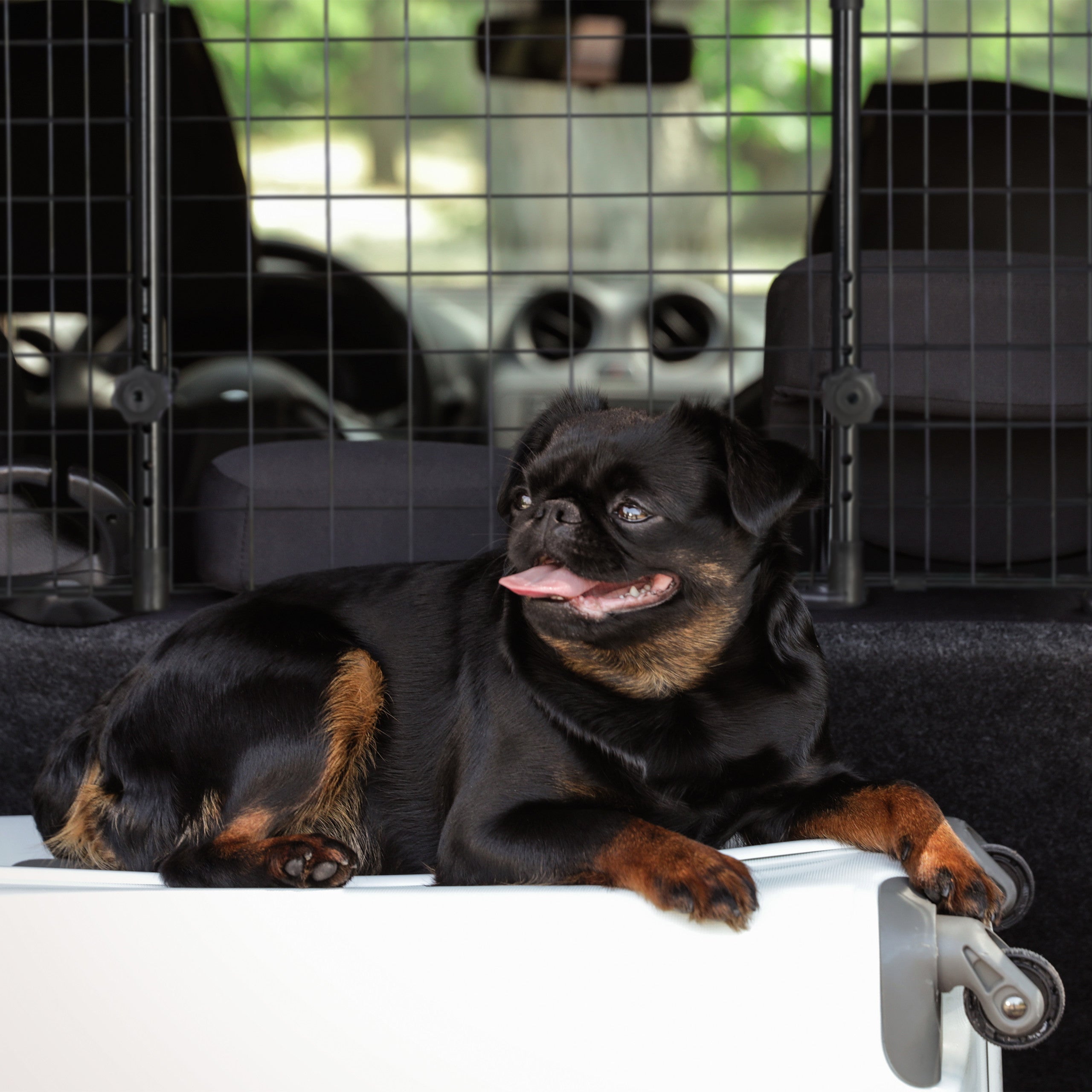 grille de séparation pour chien voiture, barrière universelle, largeur réglable, H x L 40 x 92-157 cm, noir, Relaxdays - 3