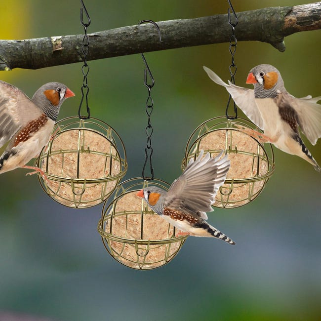 Mangiatoie per palline di grasso da appendere, in ferro galvanizzato, resistenti alle intemperie, per piccoli uccelli, mangiatoie per uccelli da giardino all'aperto per alberi o una stazione da Mangiatoie per palline di grasso da appendere, in ferro galvanizzato, resistenti alle intemperie, per piccoli uccelli, mangiatoie per uccelli da giardino all'aperto per alberi o una stazione da