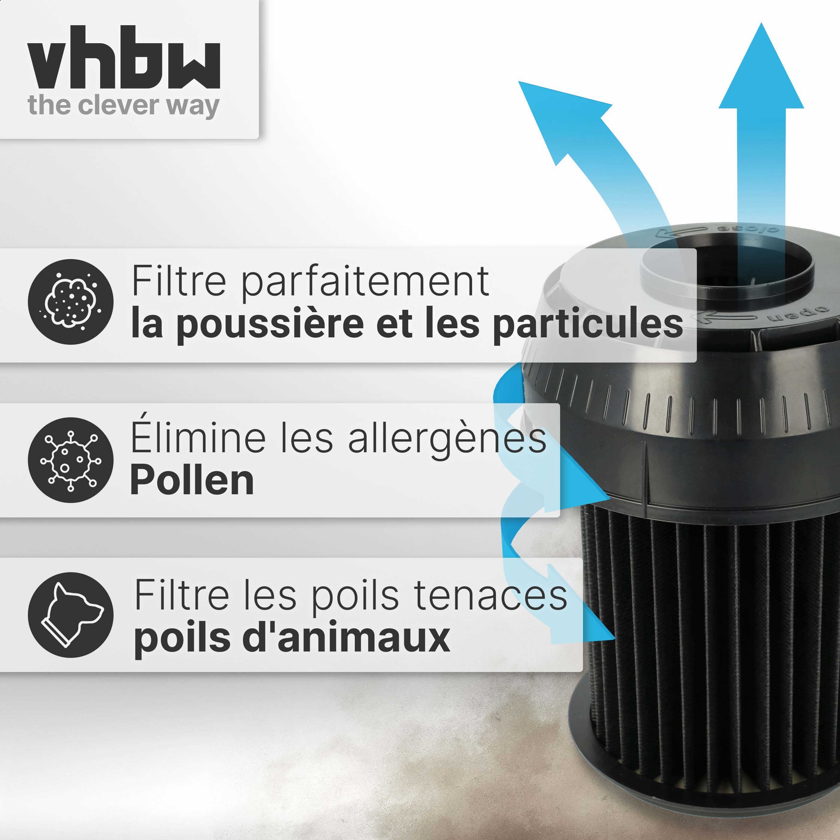 vhbw Filtre à cartouche compatible avec Bosch BGS 6 Pro 1/01, 6 Pro 101, 6 Pro 2, 6 Pro 2/01, 6 Pro 201 aspirateur - Filtre plissé - 2