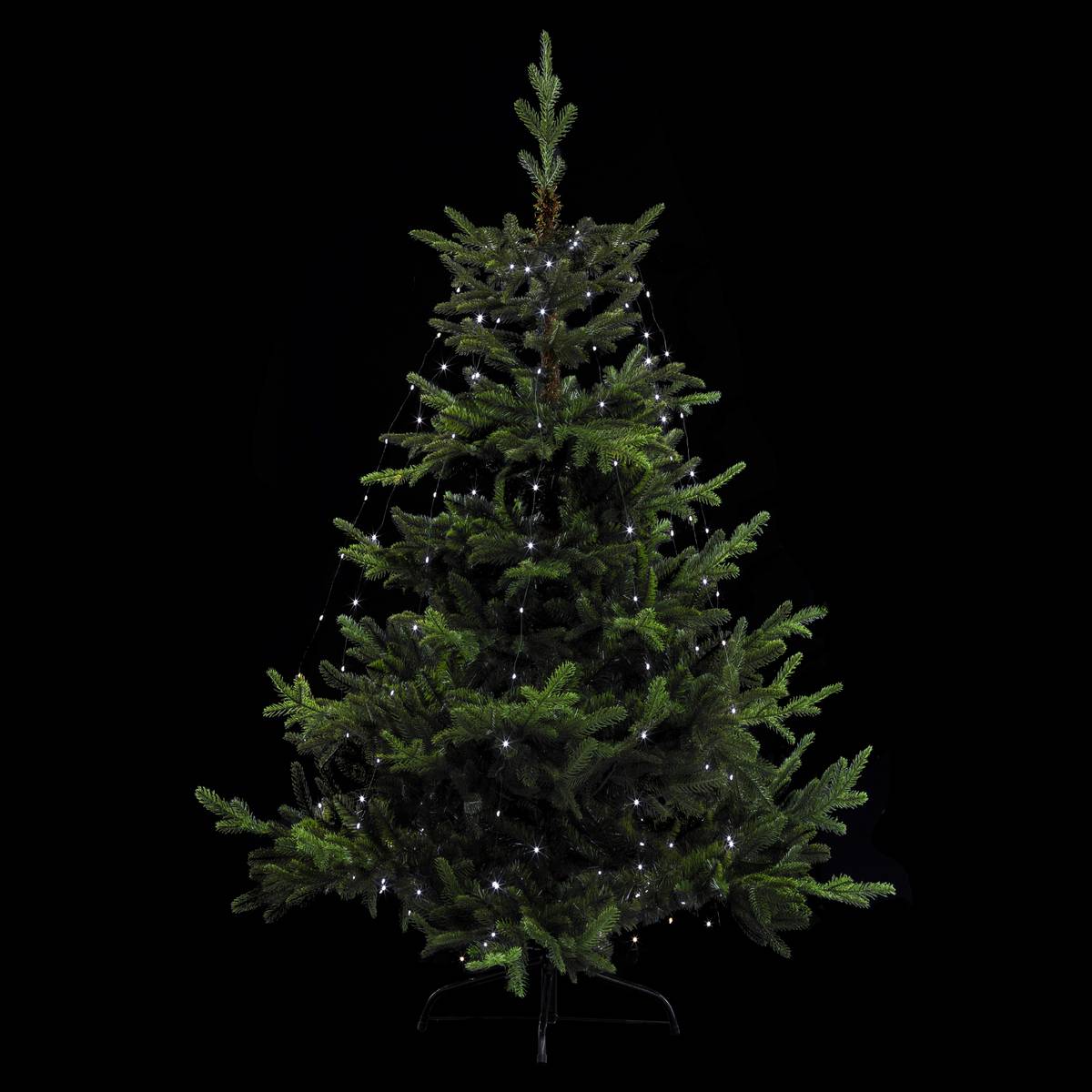 Robe lumineuse extérieur 3m blanc froid 170 LED avec transfo Feeric ...