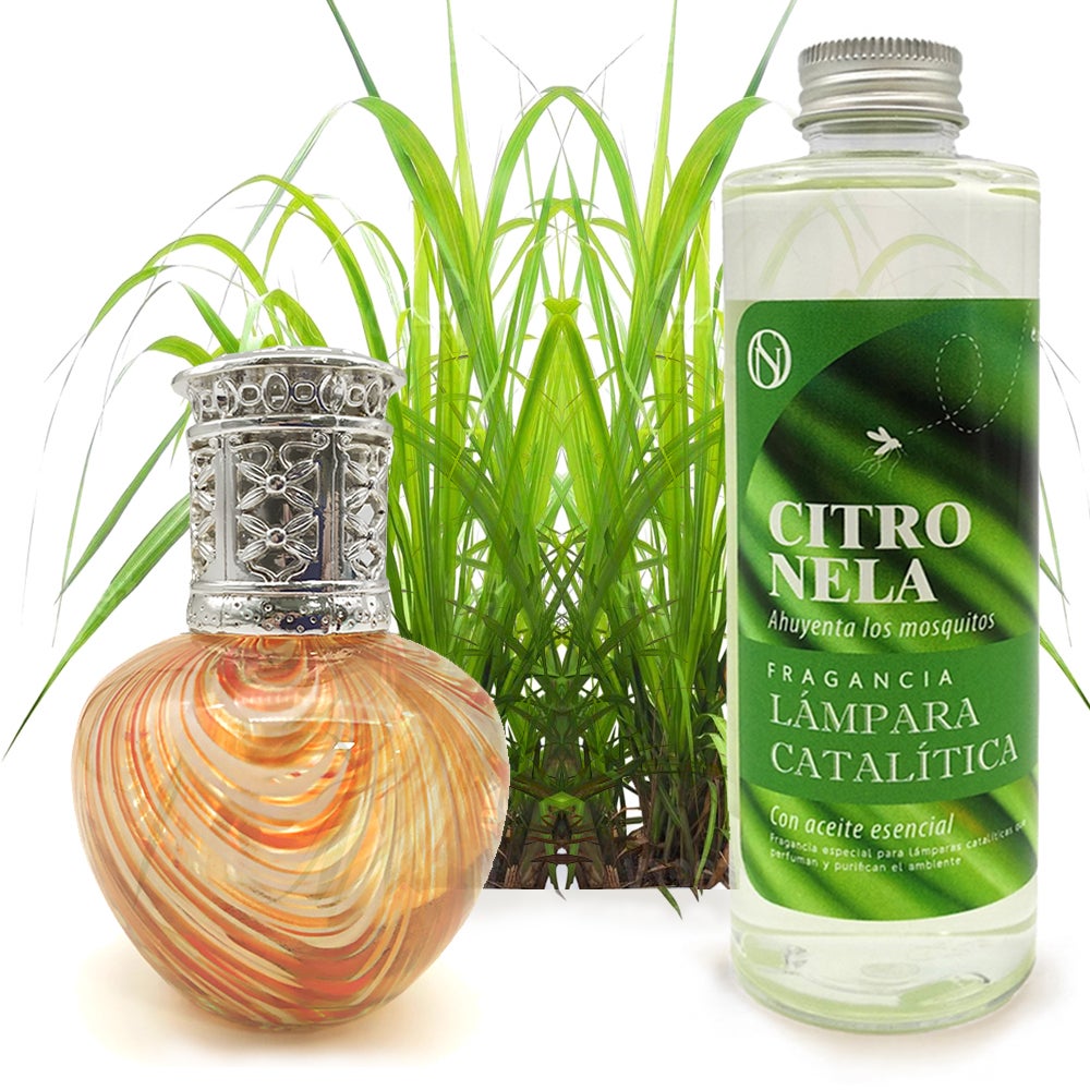 Maison Berger Paris Aroma Focus Recharge Pour Lampe Catalytique