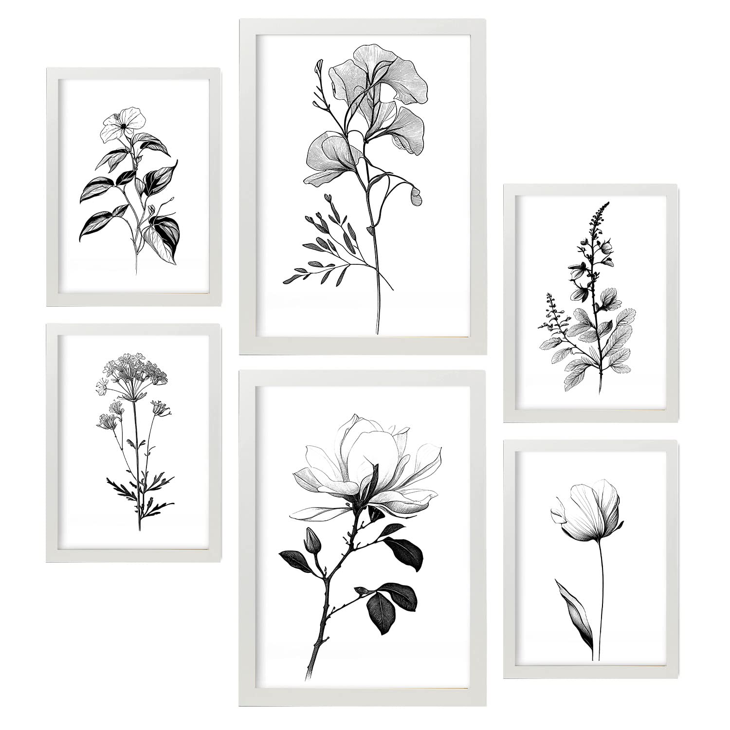Nacnic posters de flores llamativas ilustraciones en blanco y negro de naturaleza y botánica con temas florales para la a4 & a3 marcos blancos