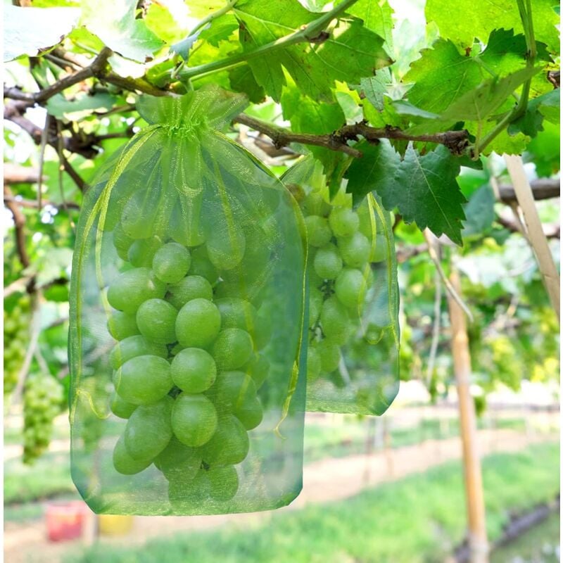 Hywean 60 Pcs 20x30CM Sac De Protection De Raisin De Grappe, Sac En Organza Des Fruit Avec Cordons Protection Grappe Contre Oiseaux Guêpes Et Autres Insectes