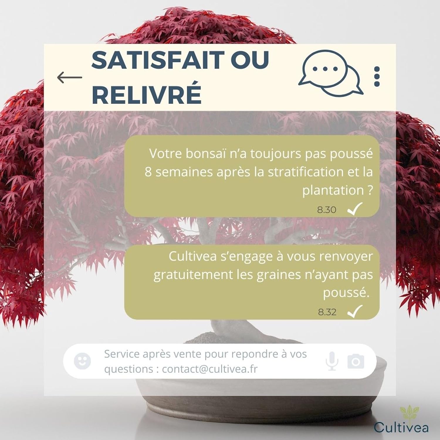 CULTIVEA® Mini Kit Prêt à Pousser 6 Bonsaï - Kit complet avec accessoires - Idée Cadeau Jardinage, Noël, Anniversaire - 5