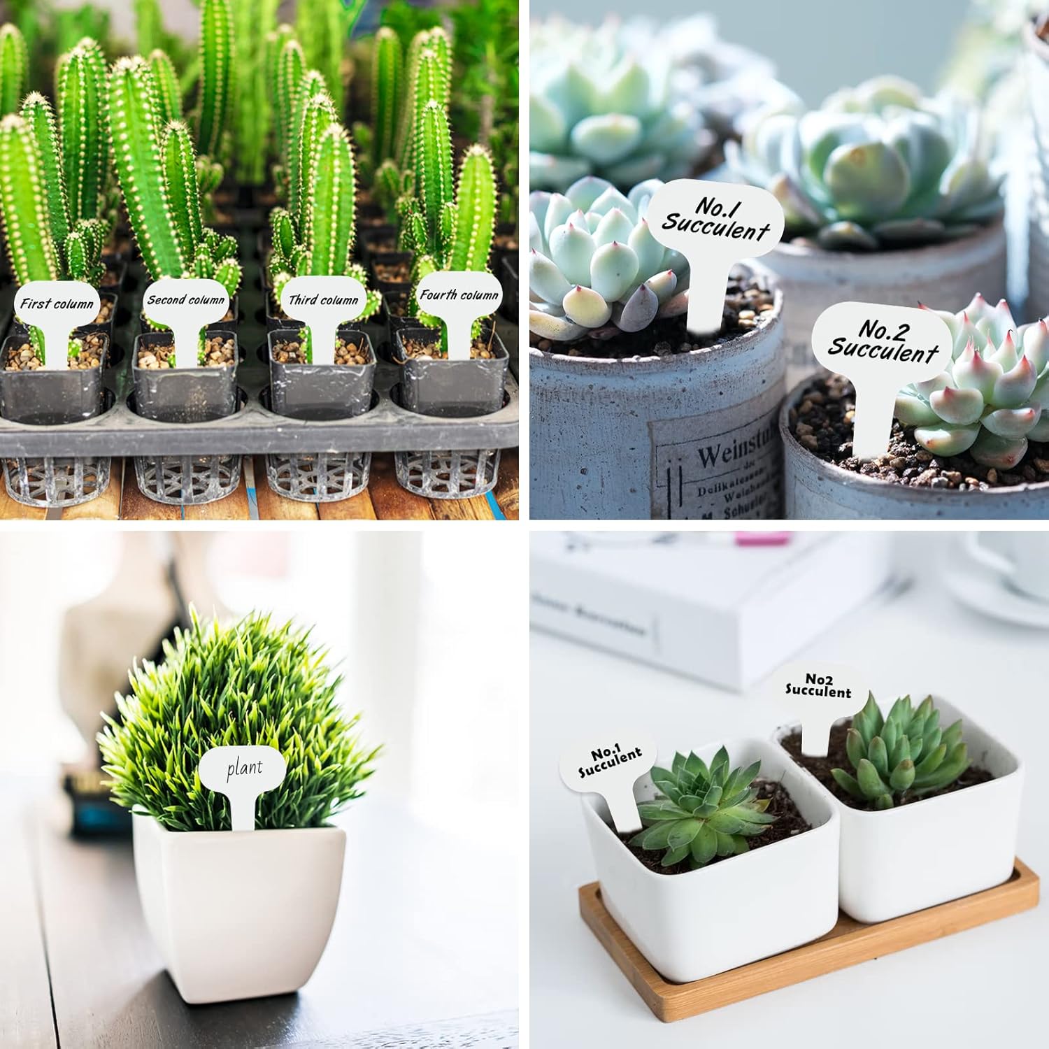 Etiquettes pour plantes (100 pièces), 5 x 7 cm, réutilisables pour semis et plantations dans les potagers, blanches. - 4
