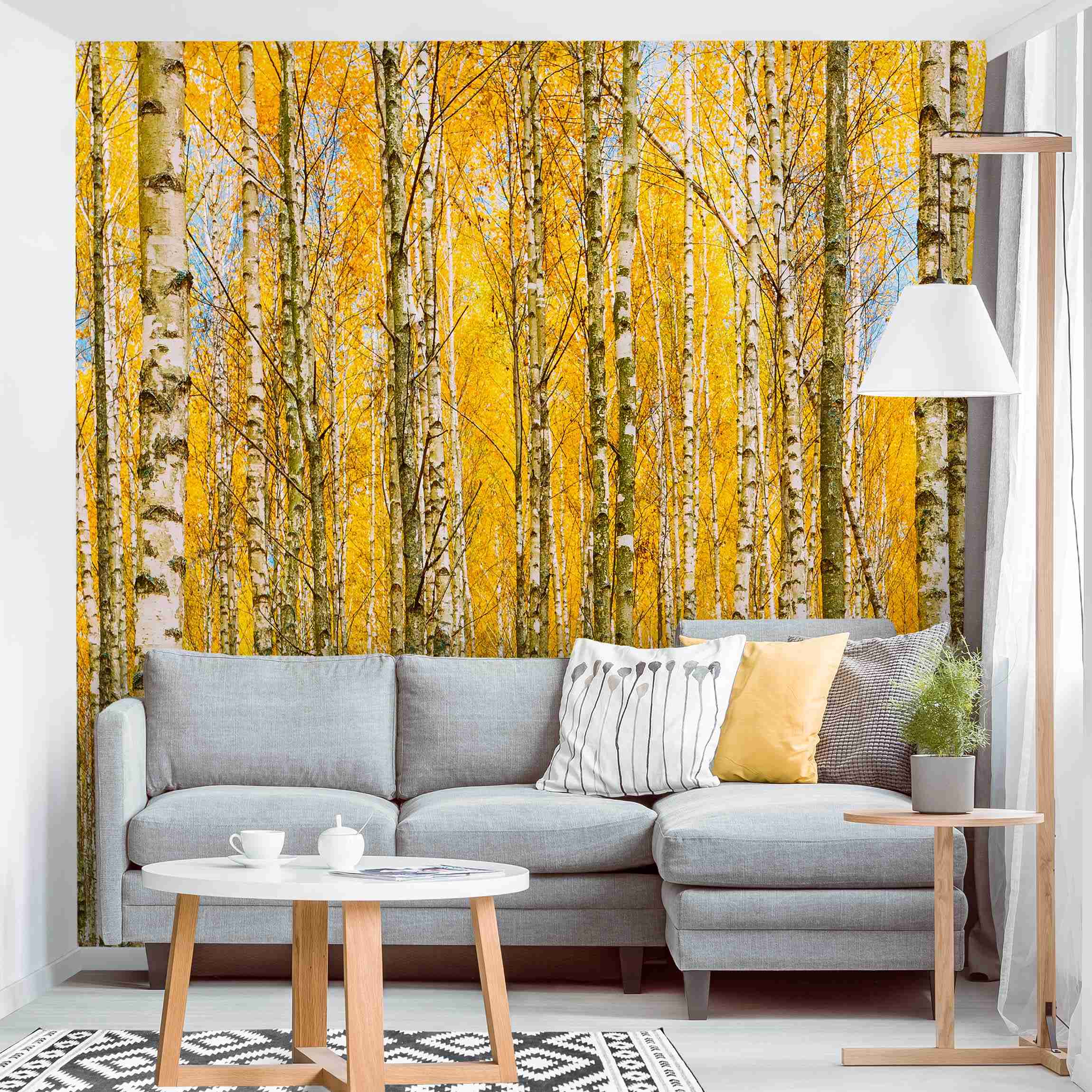 Papel pintado fotomural bosque naturaleza 375 - salón dormitorio cocina pasillo - tnt 240 x 240 cm smart