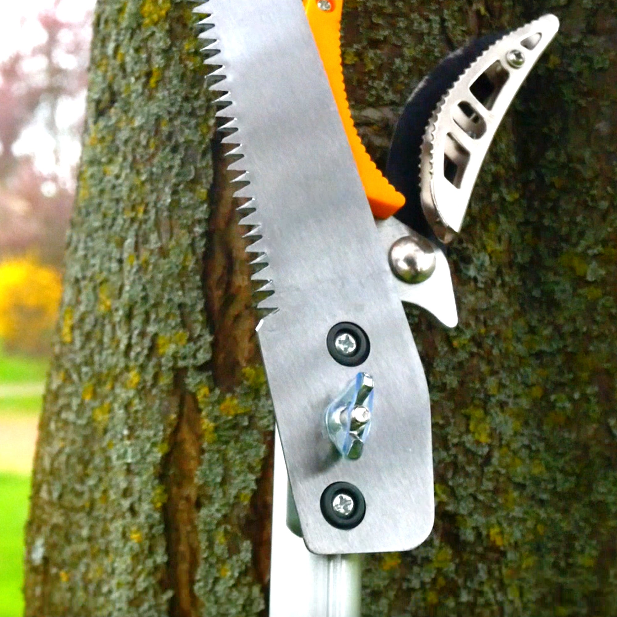 Sécateur Télescopique FISHTEC 1.37 À 2.2 m Avec Scie 30 cm 52 Dents Lame Acier Enclume De Préhension Manche Aluminium Portée 4 m Élagage Jardin - 8