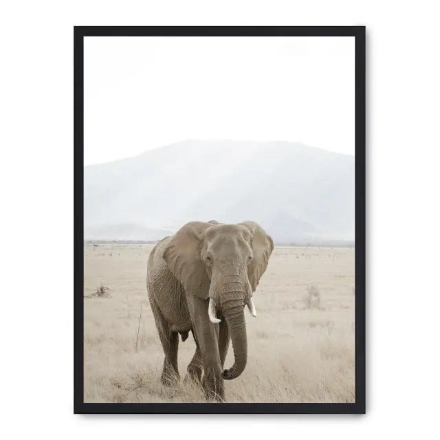 Panneau Décoratif Verre Cuisine Tulup - Motif éléphant Savane, Dimensions 100x70 Cm, Neuf