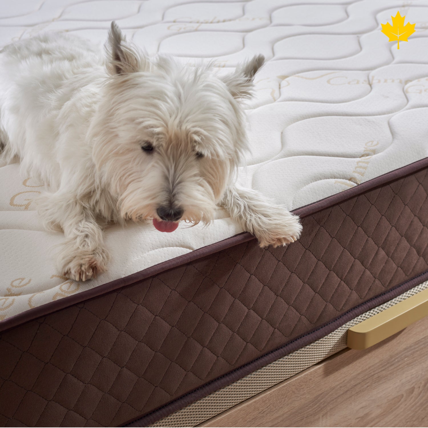 Colchón 160x180, Viscoelástico Alta Firmerza Descansin, Ideal para Personas con Dolores de Espalda, Premium, Tejido Transpirable y Antiacaros - 4