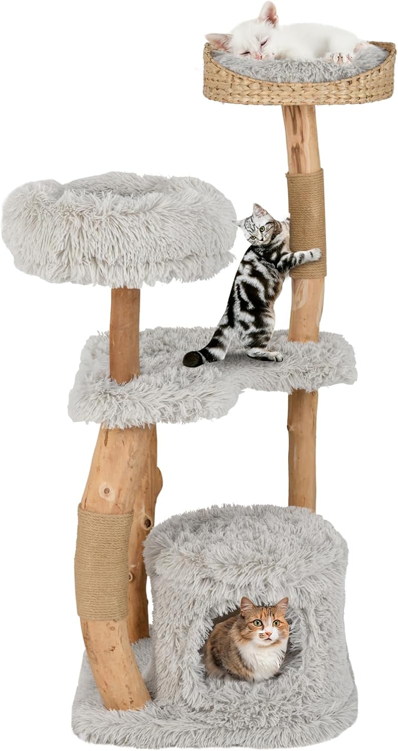 Arbre a Chat à 5 Niveaux en Bois Massif avec Plateforme, 48 x 48 x 124 ...