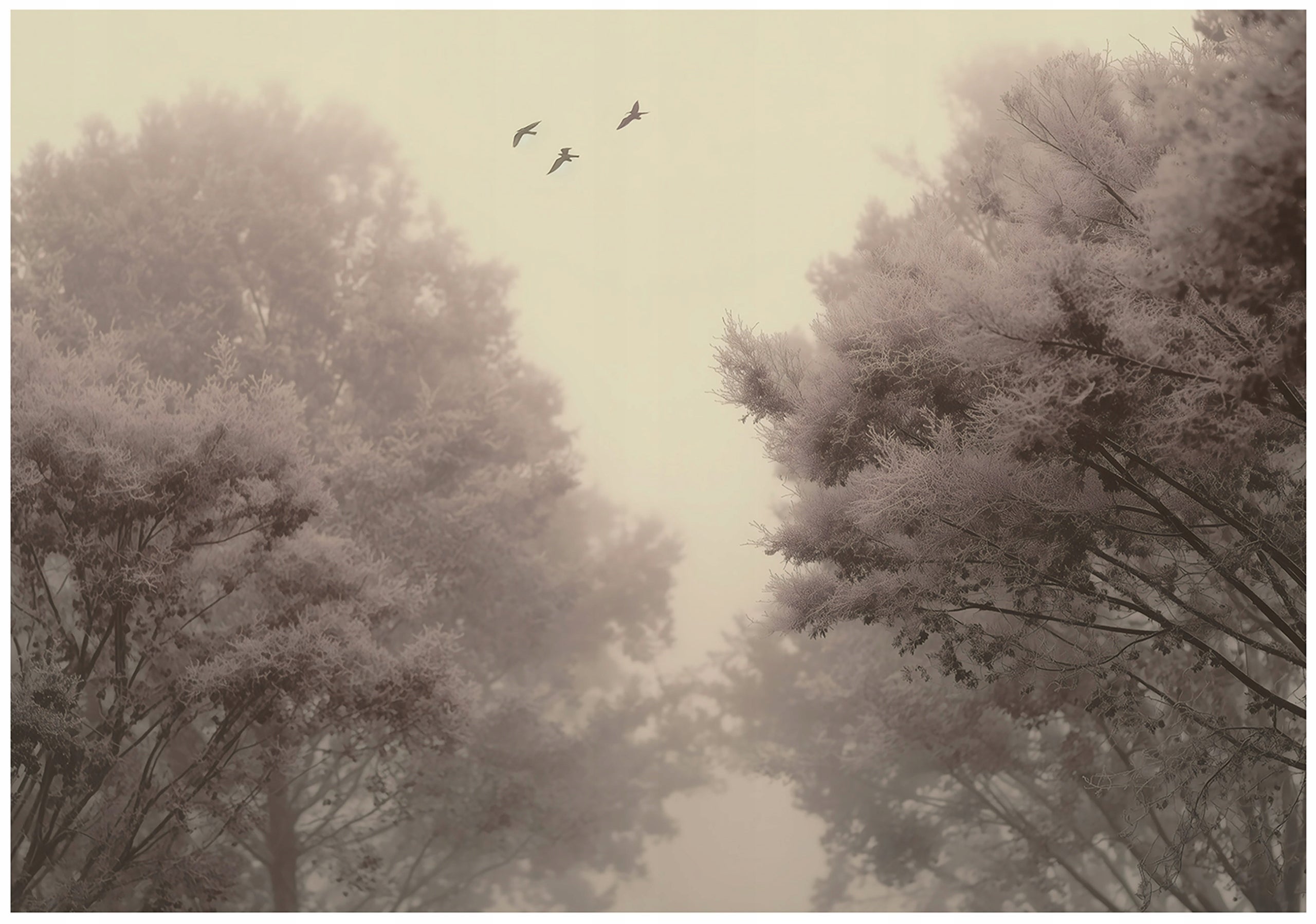 Fototapeta Las Drzewa Natura 250x175 cm Tapeta Do Sypialni Salonu Kuchni Na Flizelinie