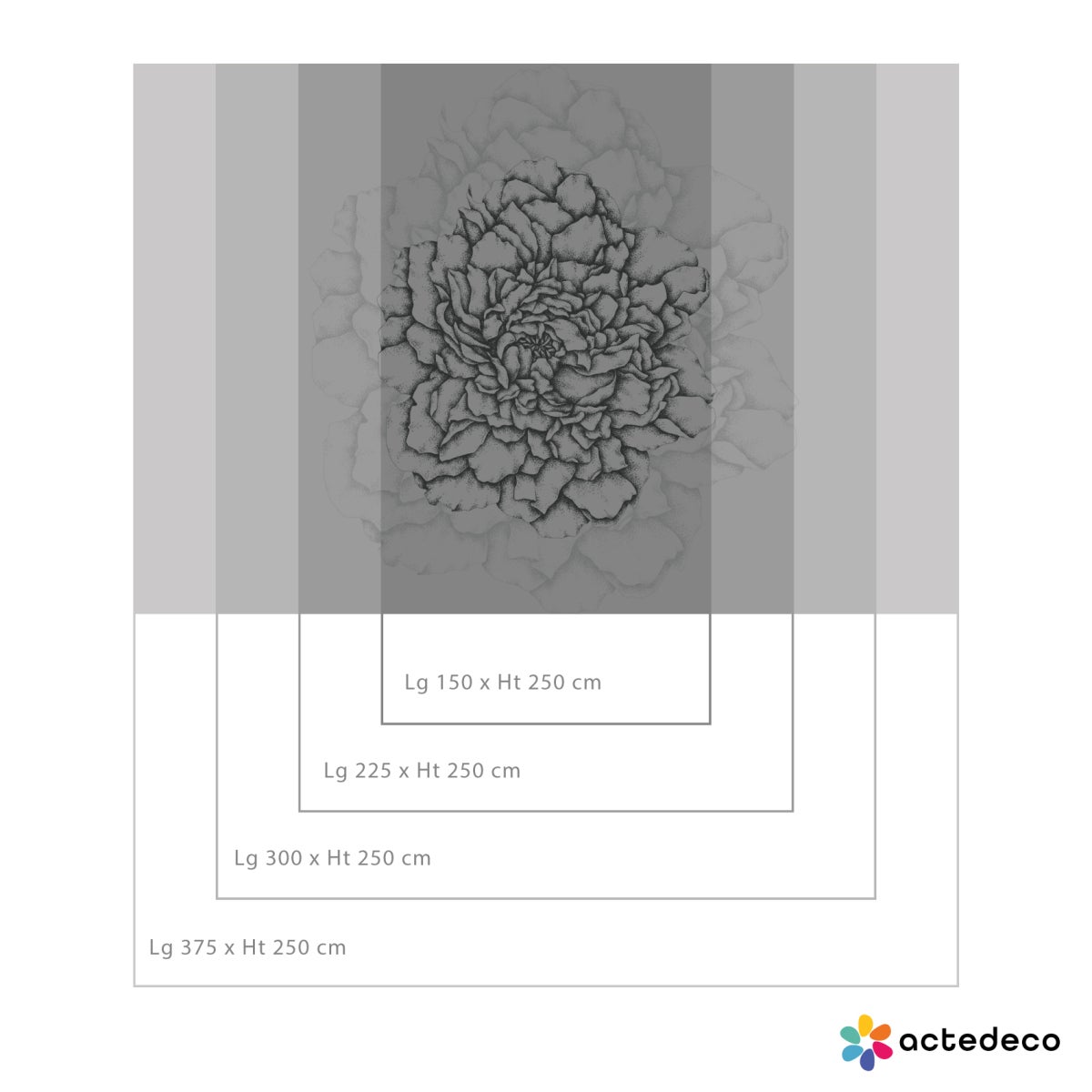 Cuore di peonie carta da parati panoramica Nero 225x250cm - 4