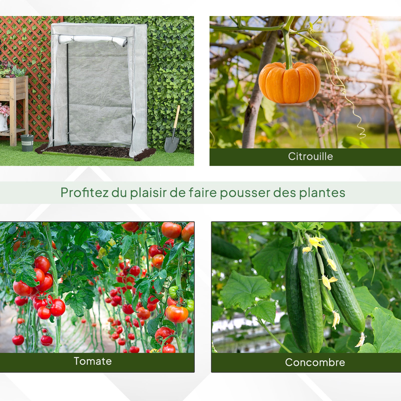 Serre à tomates 100 x 100 x 200 cm avec porte enroulable, mini-serre avec bâche en PE, serre d'extérieur pour jardin, balcon, cour, blanche - 5