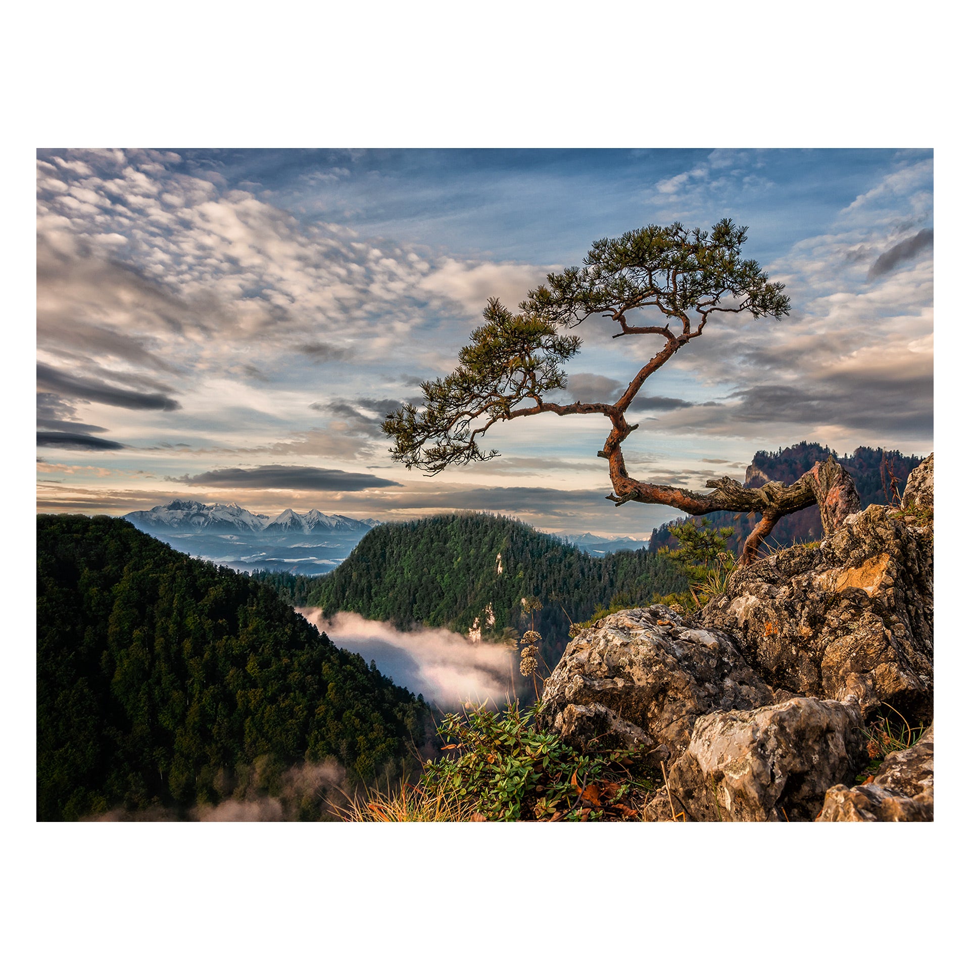 STYLER Tablou pe pânză Canvas SOKOLICA 85 x 113 cm, decor modern de perete pentru living, dormitor, hol și birou