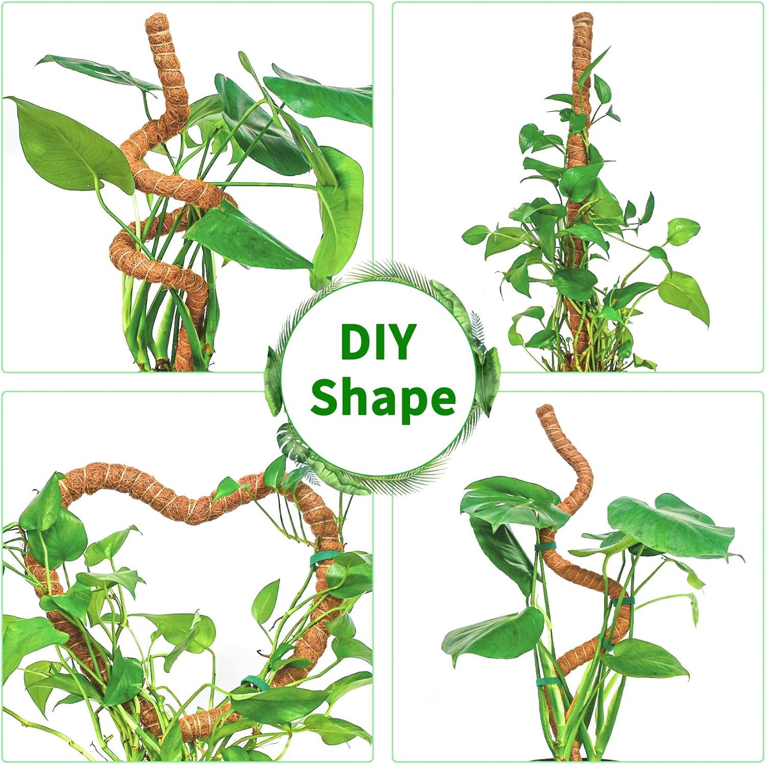 Lot de 2 tuteurs de mousse flexibles de 70 cm, supports pour plantes grimpantes d'intérieur (monstera, pothos, philodendron), pour pots et jardin - 3