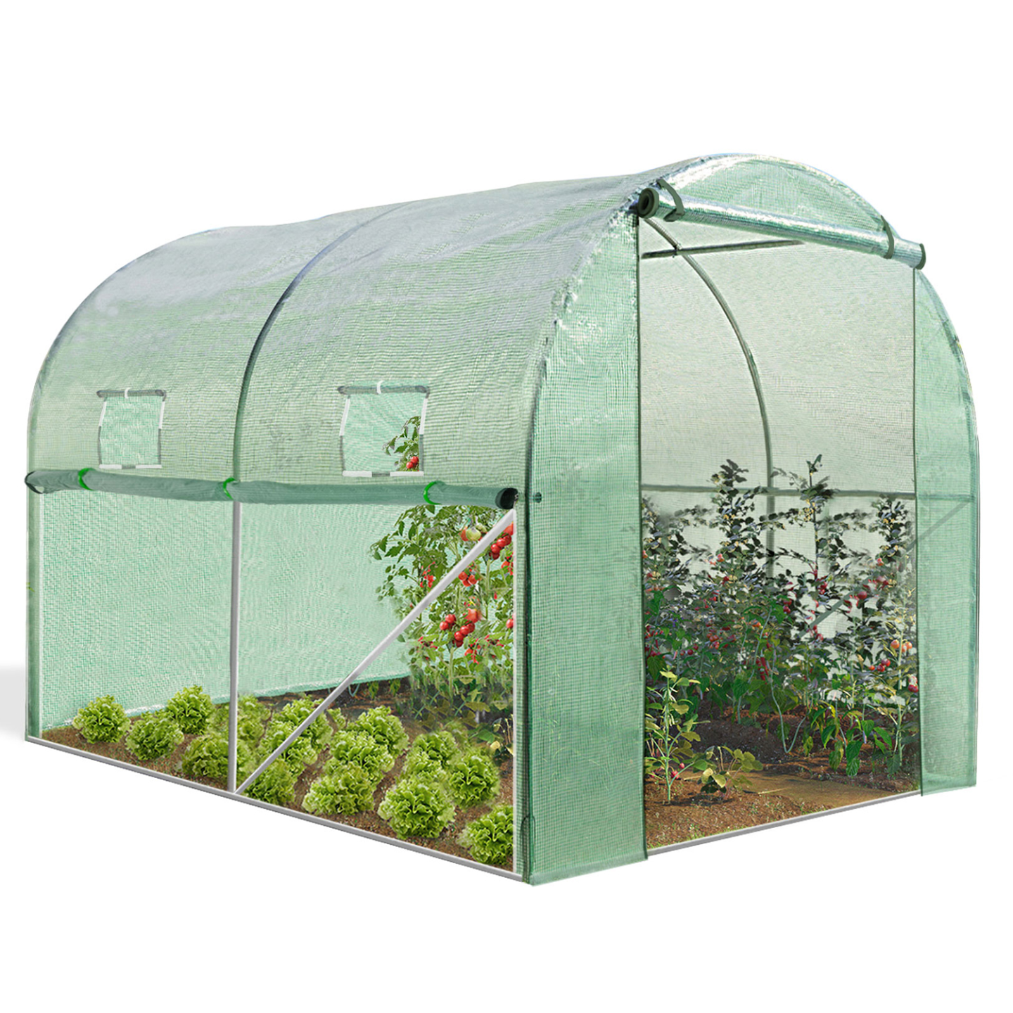 Serre tunnel de jardin 4 saisons 6M² verte gamme maraîchère ROMA 2x3M - 2