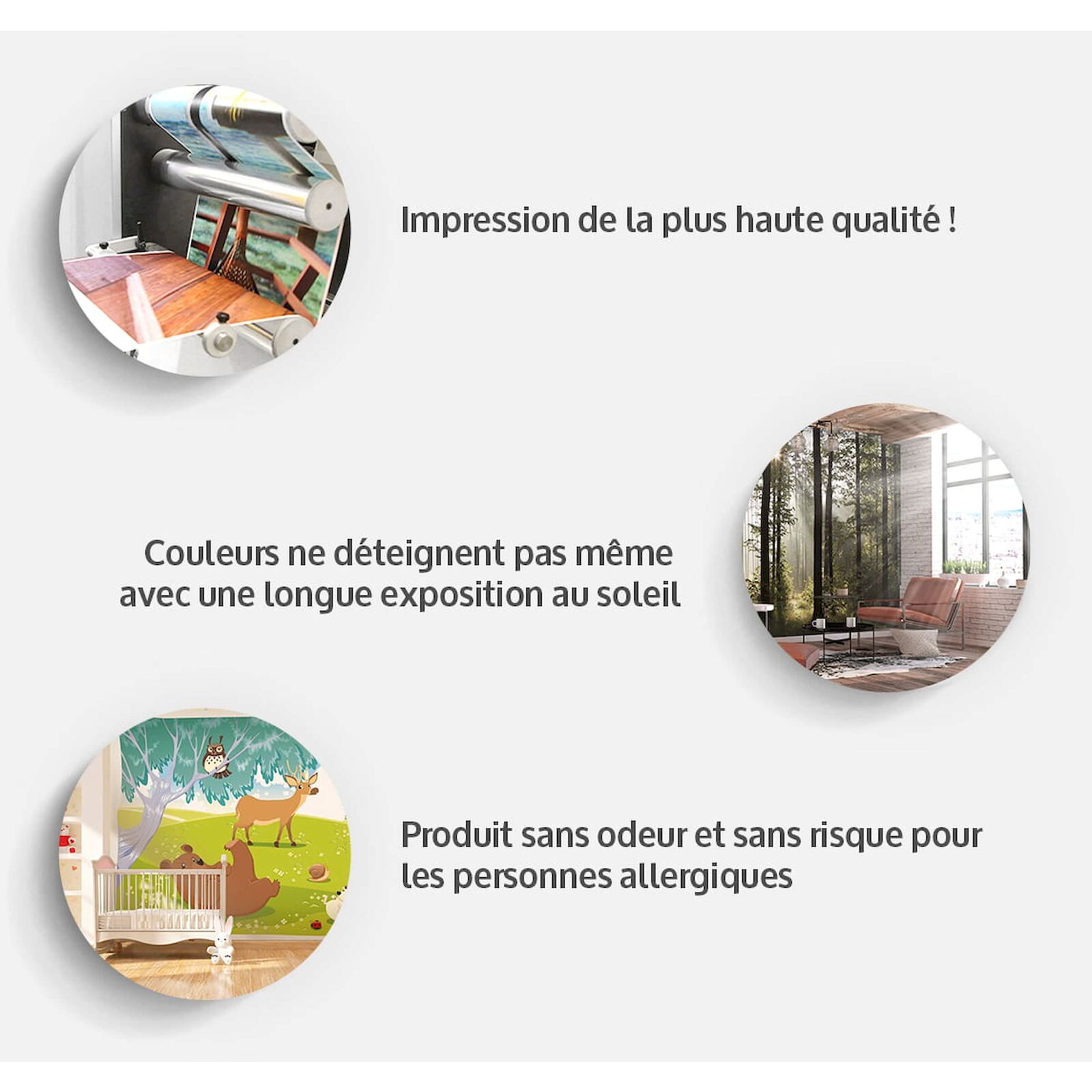 Papier peint adhésif Colibris colorés - 196 x 140 cm - 4