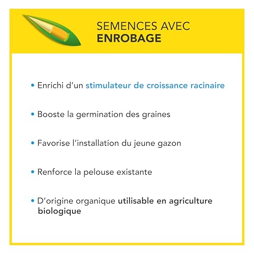 BARENBRUG - Soin Après Démoussage - Limite Réapparition Mousses - Gazon Dense et Résistant - Germe Très Rapidement - Semences avec Enrobage - 3KG - 6