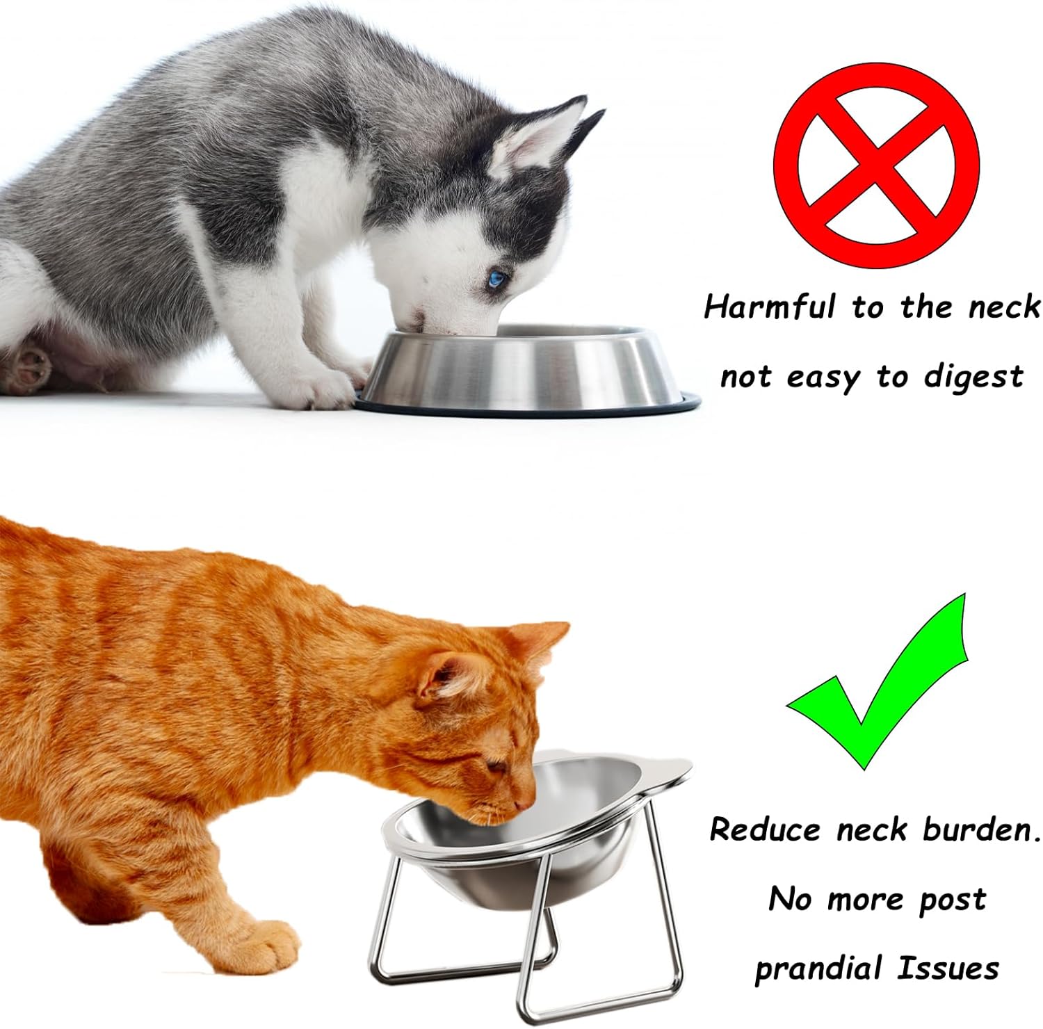 Gamelle surélevée à 15 degrés pour chat - Convient aux petits chats/chiens, gamelle en acier inoxydable de 15 pouces, anti-vomissements - 6