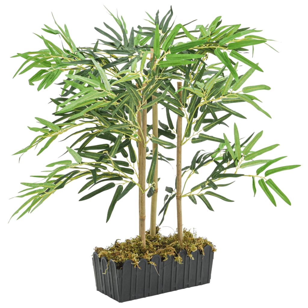 Balai Coco 28 Cm – Monture Bois Avec Douille Vis – Fibres 75 Mm – Idéal Nettoyage Extérieur & Intérieur