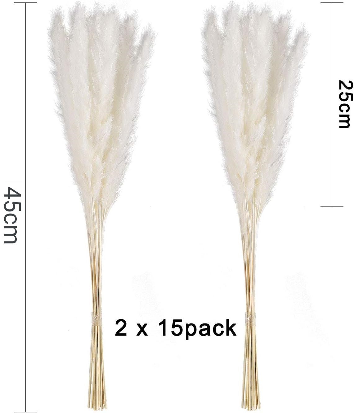 30 pcs Herbe de la Pampa, 45 cm Naturel Pampa Fleur Bouquet de Fleurs Sechees pour Vases, Blanc Boho Decoration Chambre Maison Salon - 2