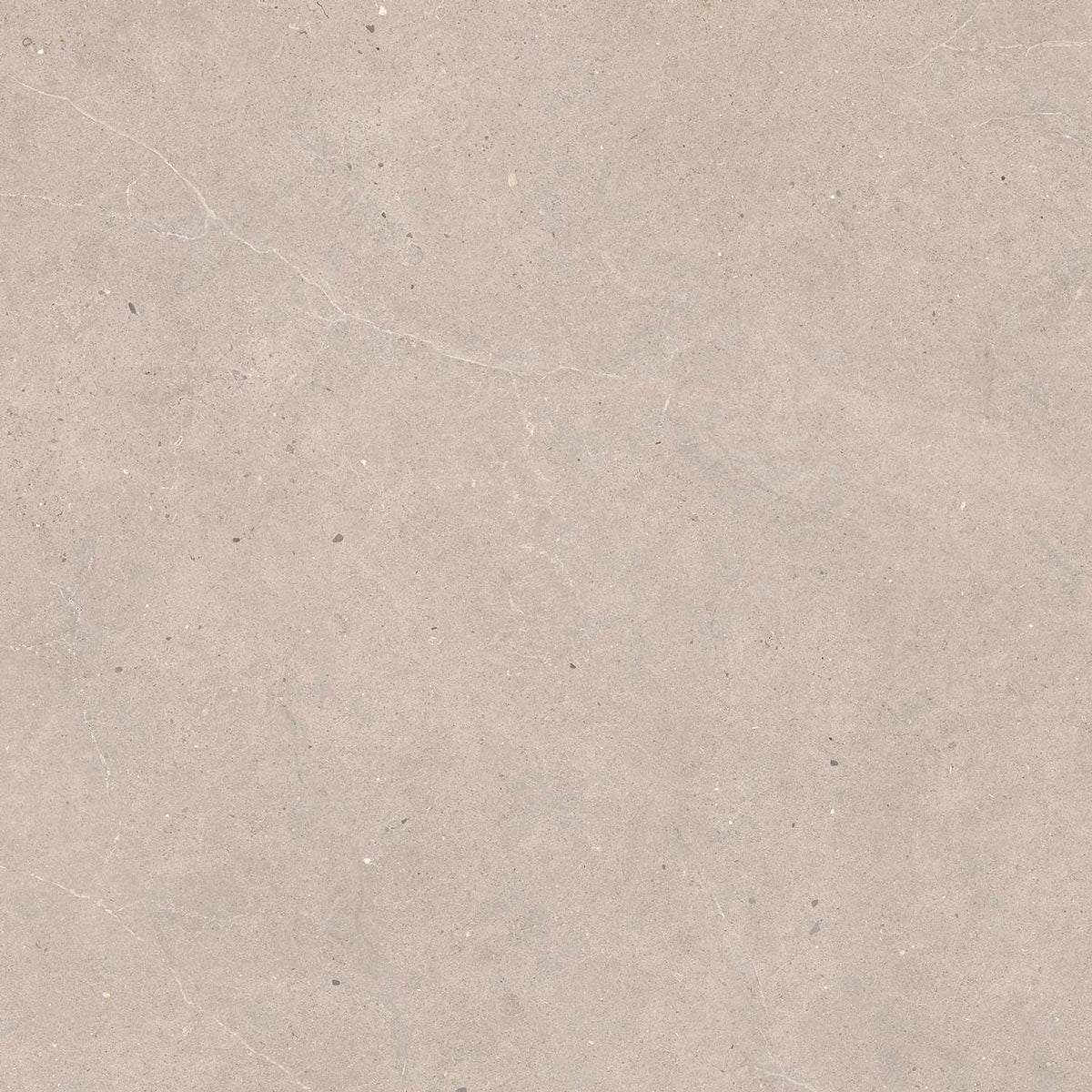 Carrelage sol effet pierre Kiyosumi Taupe 100x100 cm - Réflex Boutique - 2