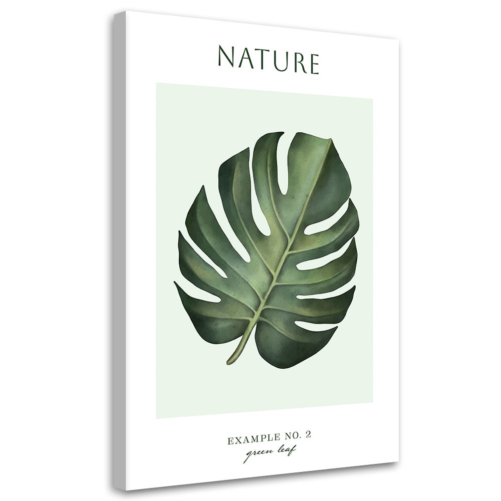 Obraz na płótnie, Zielony liść - Natura 70x100