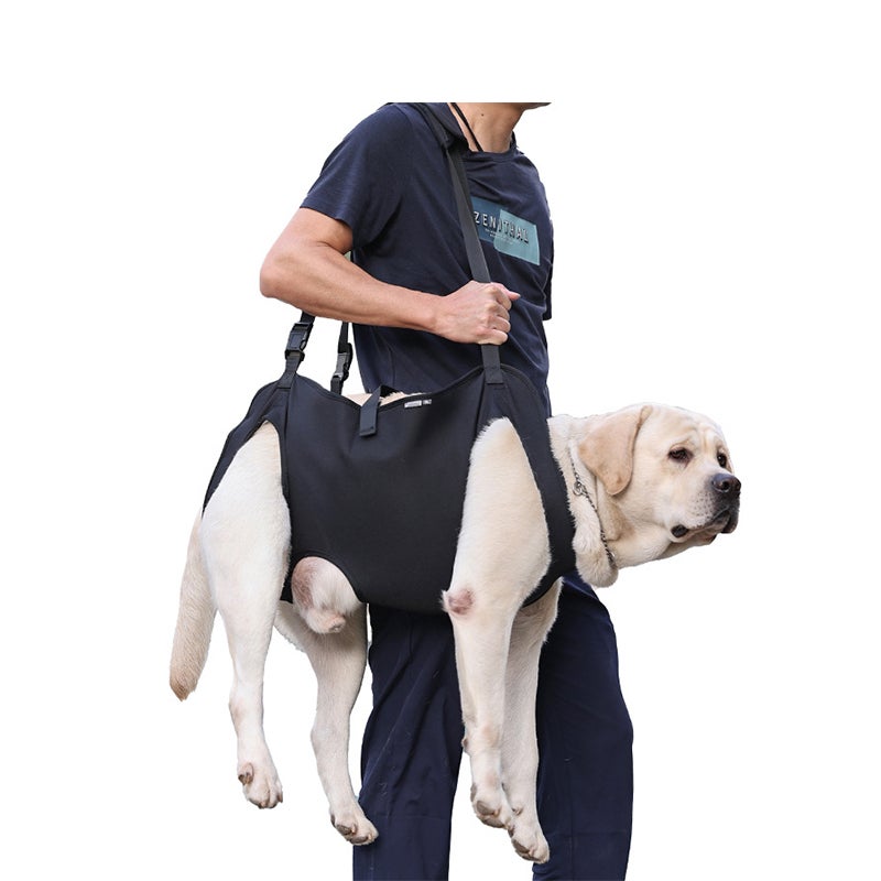 Arnês de suporte para cães - Arnês de elevação para reabilitação - 5