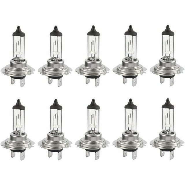 CARALL Lot De 10 Lampes Halogènes 12V Pour Voiture H6 W BAX9s 12V 6W - Éclairage Puissant Et Fiable
