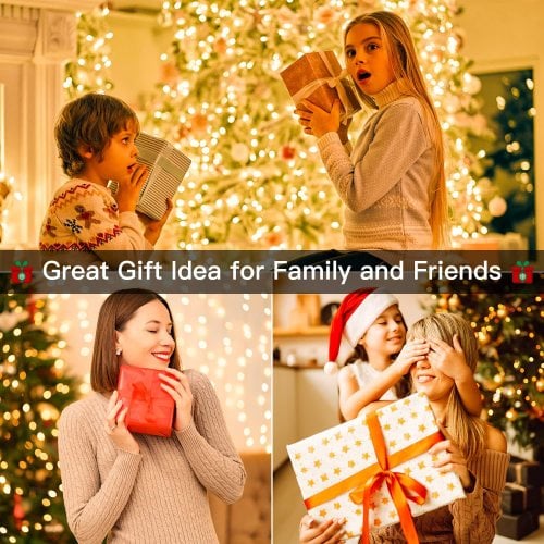 Guirlande lumineuse LED 100m 1000LED, guirlande lumineuse de Noël IP44 étanche avec télécommande et minuterie, 8 modes,blanc chaud - 3