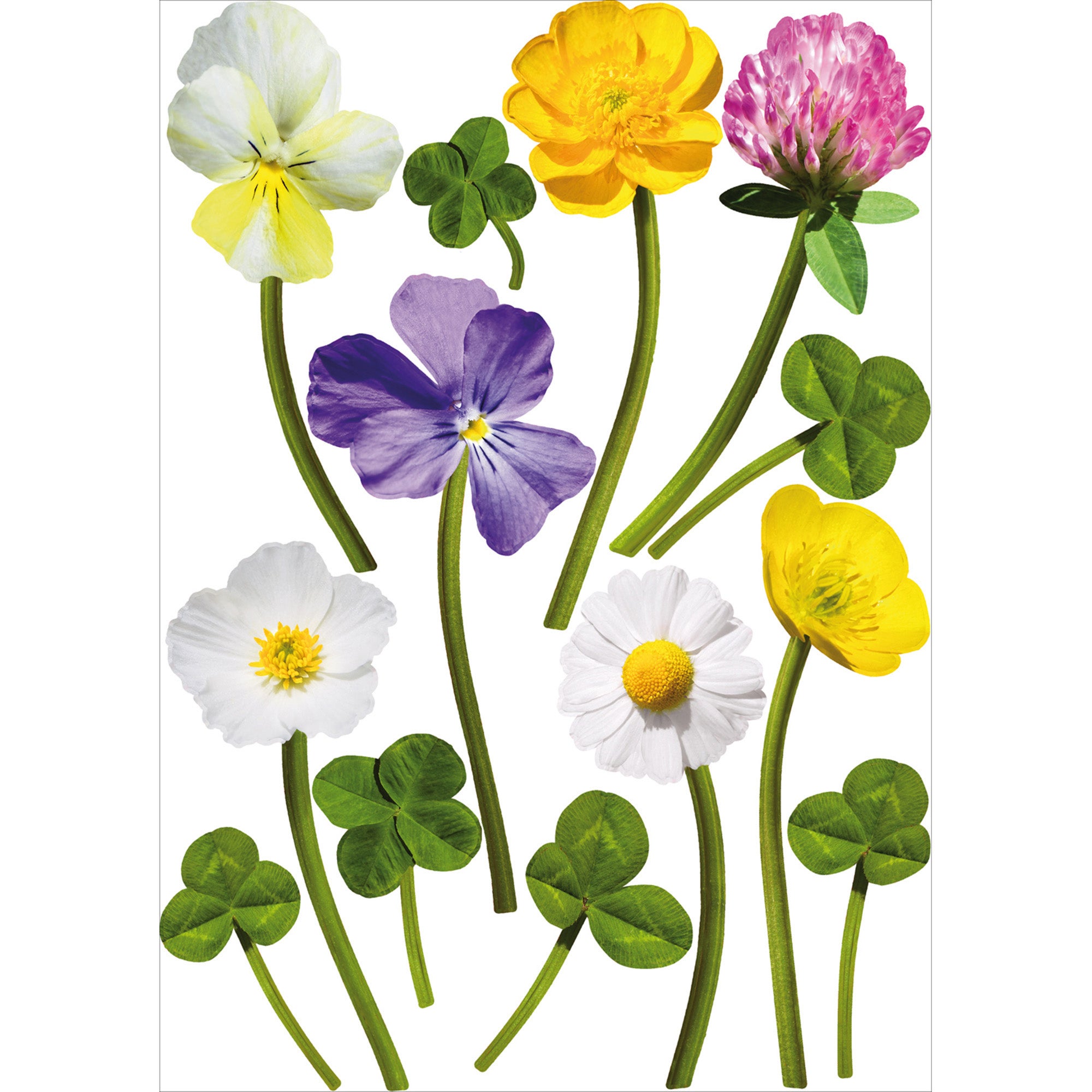 150 Fleurs En Feutrine Autocollantes - Motif Tournesol, 4 Cm, 6 Couleurs - Pour Bricolage, Scrapbooking, Décoration Vêtements Lot 150 Fleurs Feutrine