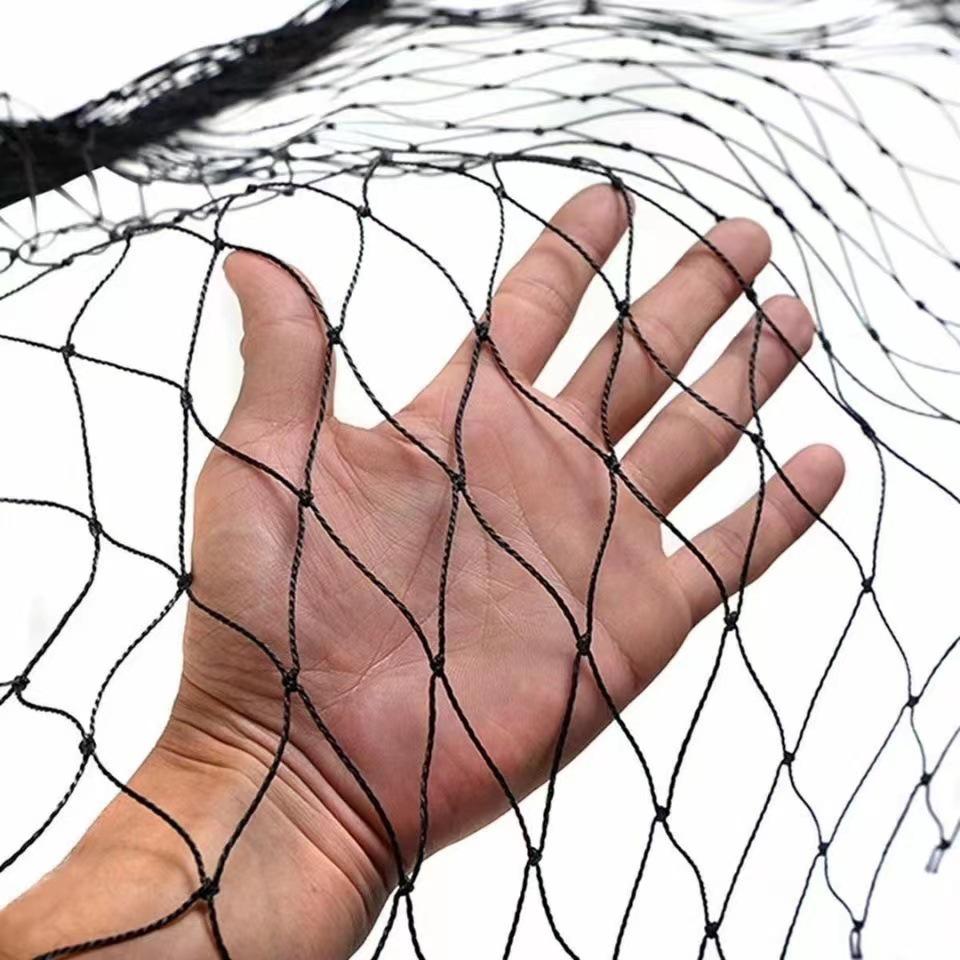 Teren do zabawy o wymiarach 5x10 m, twardy teren do zabawy, 5x10 m