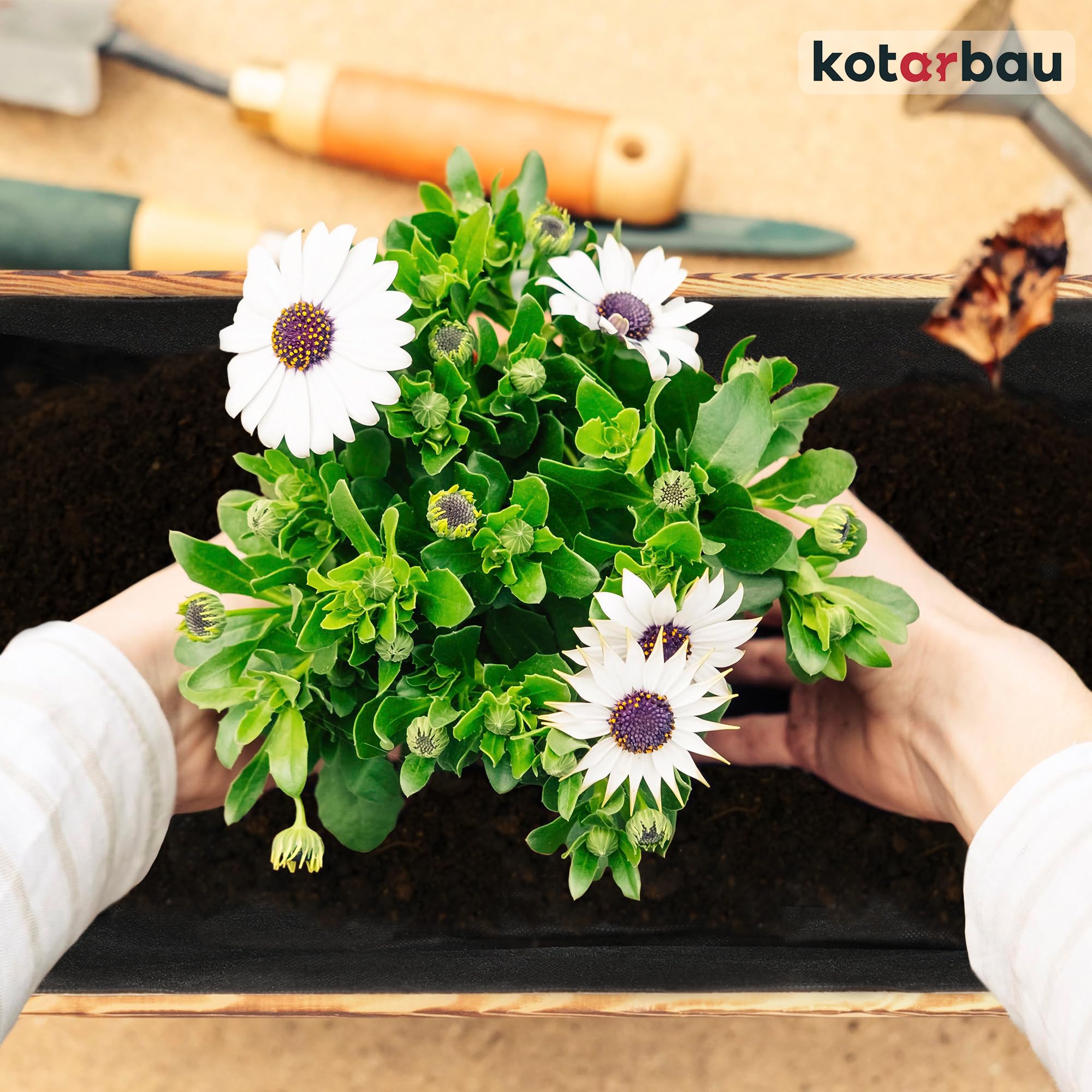 Pot de Fleurs en Bois 60 x 33 x 25 cm Jardinière en Pin Carbonisé Pot de Plantes Jardinière - Idéal pour Jardin Terrasse Balcon - KOTARBAU - 8