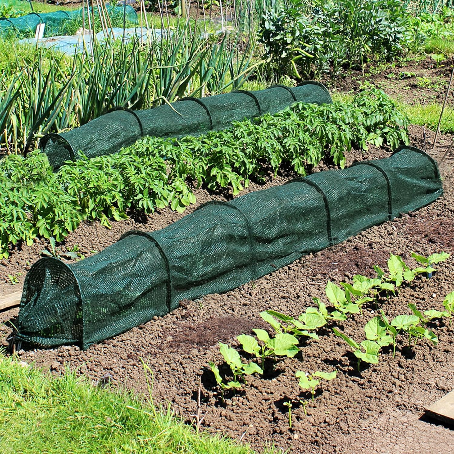 Lot de 2 filets de protection 2 en 1 pour serre contre la chaleur du soleil, tunnel de jardin, canal de plantation, filet anti-insectes, 300 x 45 cm - 7