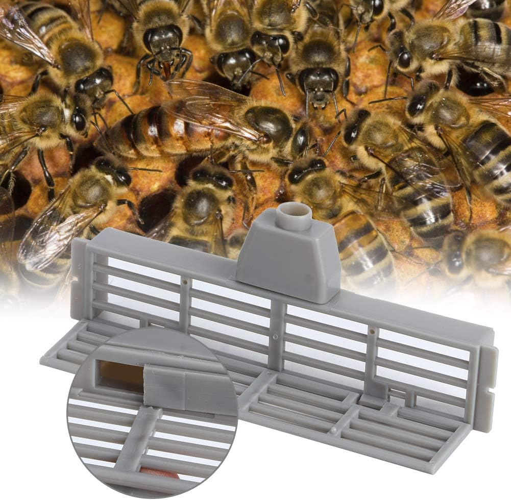 10 Pcs Abeille en Plastique, Outil Anti-évasion d'abeille, Abeille d'apiculture en Plastique Anti-Fuite Mouche Anti-Run Trous Spacer Equipment Tool Ou - 5