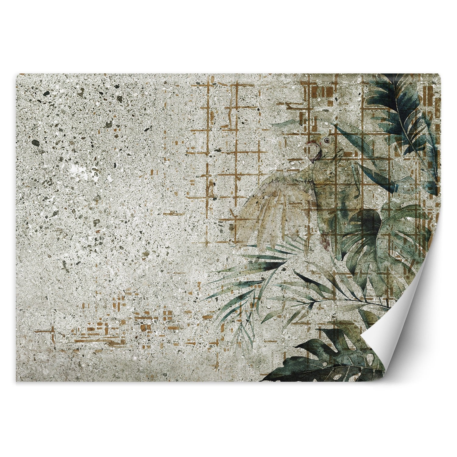 Fototapeta, Beton Papuga Ptak Liście Monstera Zielony 150x105
