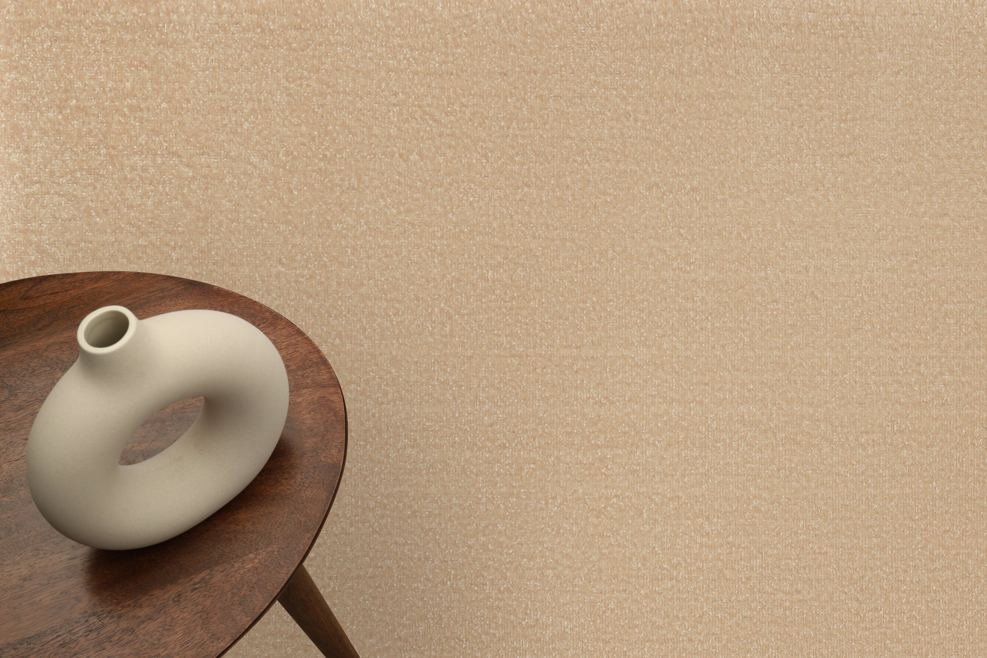 TAPISO Mono Tapis de Couloir Poils Ras Descente de Lit Entrée Moderne Beige Uni Intérieur Extérieur OEKO-TEX 90 x 150 cm - 5