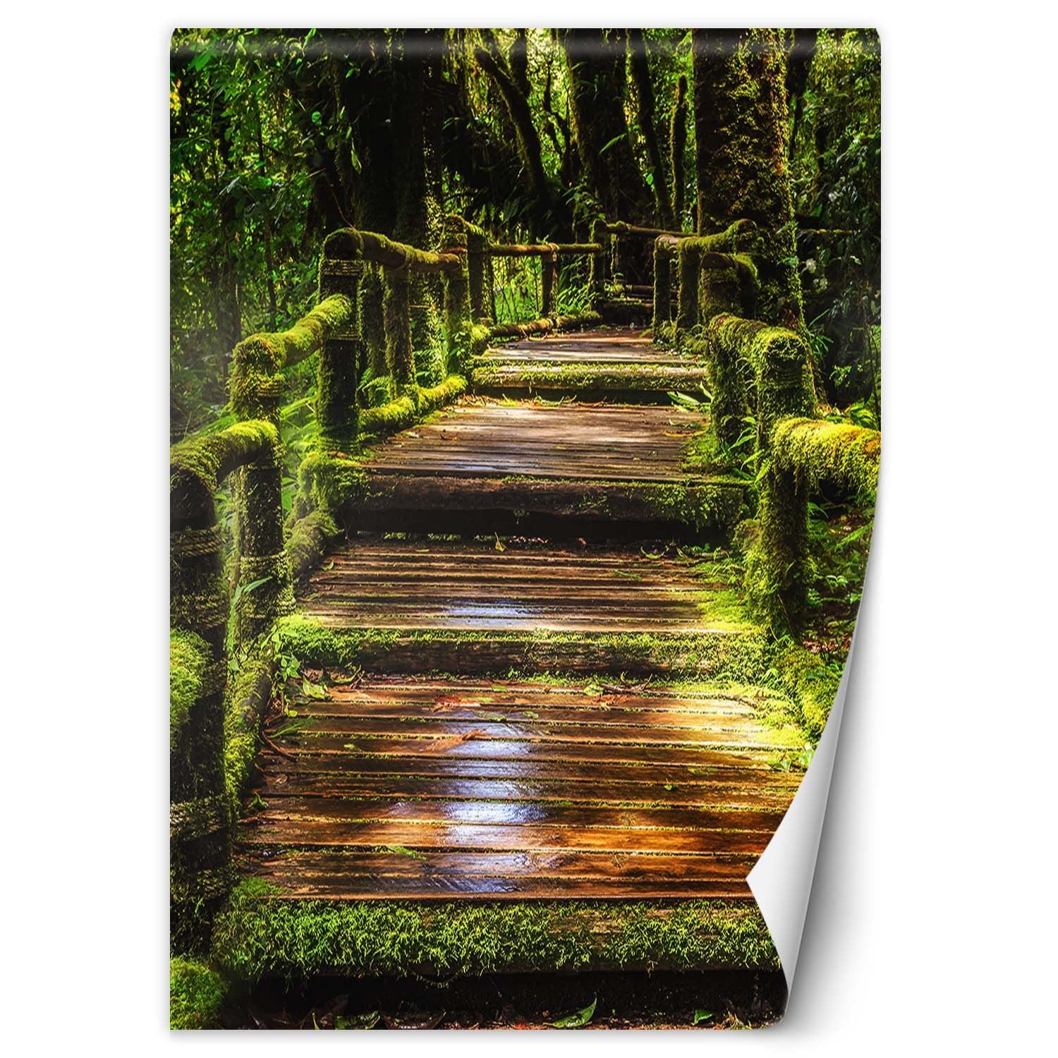 Fototapeta, Mostek w zielonym lesie 150x210
