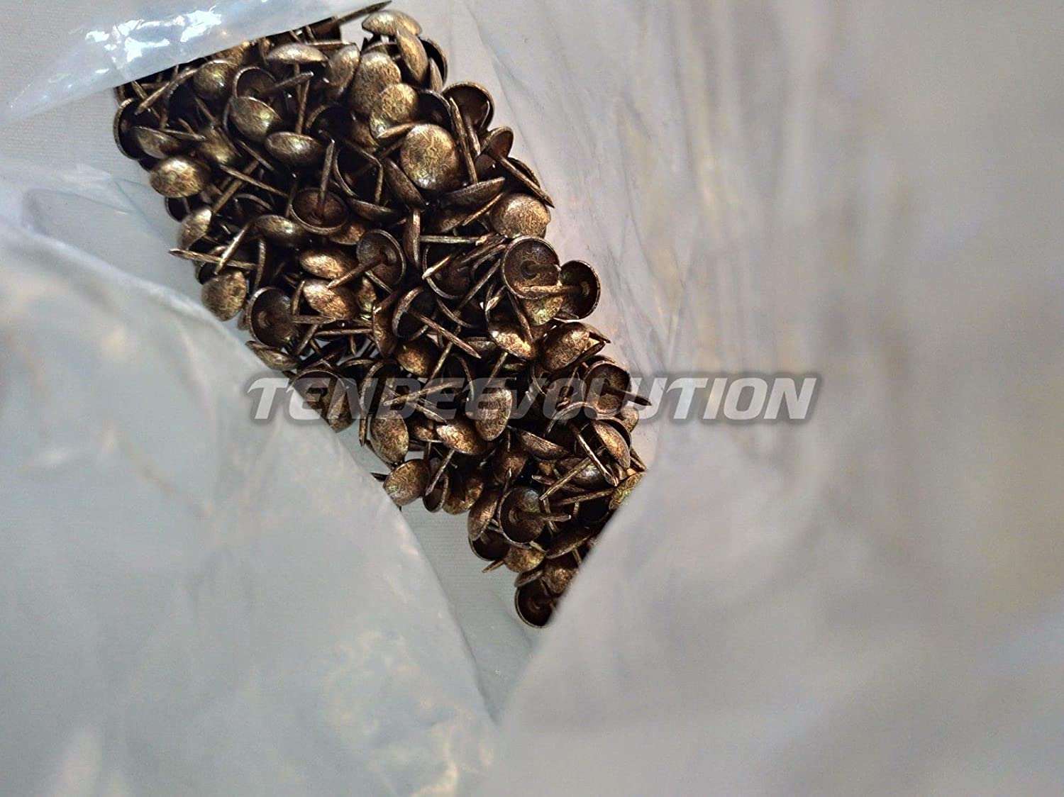 QUARKZMAN 50 Borchie Per Tappezzeria In Acciaio Carbonio, Testa Bianca 12x17 Mm Per Divani E Mobili