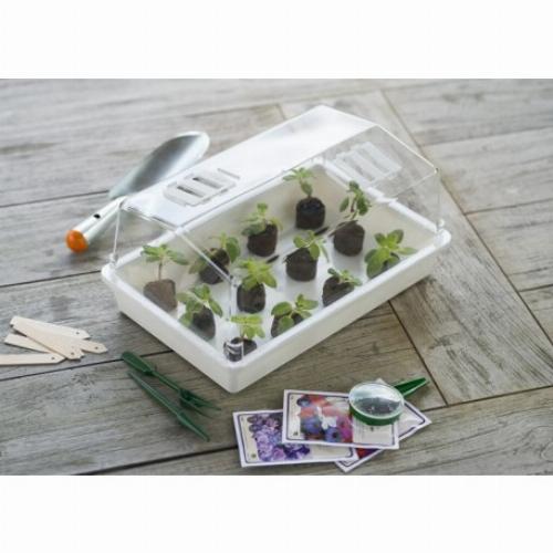 Mini serre terrine et couvercle ventile 37x24x18 xm - 5